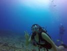 Hawaii Scuba divng 02