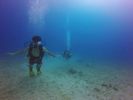 Hawaii Scuba divng 32