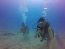 Hawaii Scuba divng 34