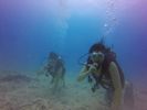 Hawaii Scuba divng 35