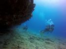 Hawaii Scuba divng 36