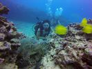 Hawaii Scuba divng 37