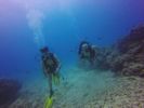 Hawaii Scuba divng 41