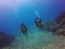 Hawaii Scuba divng 42