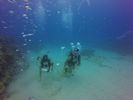 Hawaii Scuba divng 43