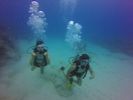 Hawaii Scuba divng 44