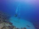 Hawaii Scuba divng 45