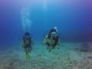 Hawaii Scuba divng 48