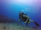 Hawaii Scuba divng 06