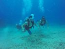 Hawaii Scuba divng 18