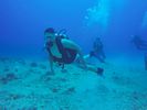 Hawaii Scuba divng 20