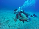 Hawaii Scuba divng 22