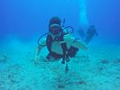 Hawaii Scuba divng 23