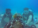 Hawaii Scuba divng 29