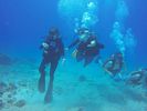 Hawaii Scuba divng 02