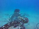 Hawaii Scuba divng 31