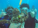 Hawaii Scuba divng 33