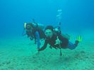 Hawaii Scuba divng 40