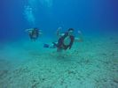 Hawaii Scuba divng 41