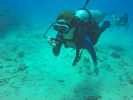 Hawaii Scuba divng 46