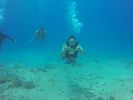 Hawaii Scuba divng 47