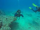 Hawaii Scuba divng 06