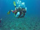 Hawaii Scuba divng 12