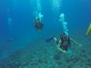 Hawaii Scuba divng 13