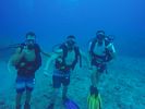 Hawaii Scuba divng 17