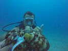 Hawaii Scuba divng 20