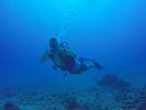 Hawaii Scuba divng 03