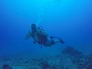 Hawaii Scuba divng 03