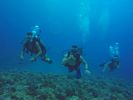 Hawaii Scuba divng 42