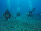 Hawaii Scuba divng 04
