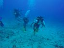 Hawaii Scuba divng 05