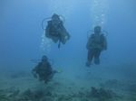 Hawaii Scuba divng 10