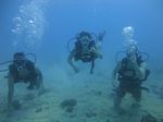 Hawaii Scuba divng 11