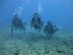 Hawaii Scuba divng 12