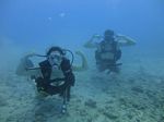 Hawaii Scuba divng 13