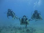 Hawaii Scuba divng 15