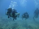 Hawaii Scuba divng 18