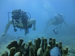 Hawaii Scuba divng 19