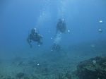 Hawaii Scuba divng 20