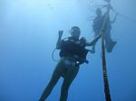 Hawaii Scuba divng 22