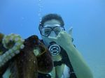 Hawaii Scuba divng 27