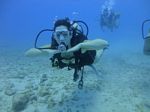 Hawaii Scuba divng 36