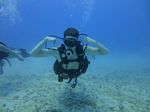 Hawaii Scuba divng 37