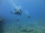 Hawaii Scuba divng 41