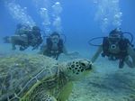 Hawaii Scuba divng 45