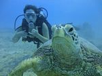 Hawaii Scuba divng 47